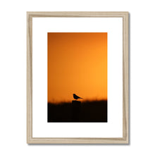 Load image into Gallery viewer, Sunset Tweet Framed & Mounted Print