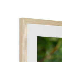 Load image into Gallery viewer, Jumping for Joy Framed & Mounted Print