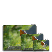 Load image into Gallery viewer, Jumping for Joy Canvas