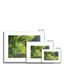 Load image into Gallery viewer, Jumping for Joy Framed & Mounted Print