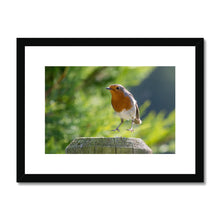 Load image into Gallery viewer, Jumping for Joy Framed & Mounted Print