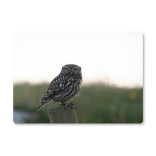 Load image into Gallery viewer, Little Owl Placemat