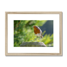 Load image into Gallery viewer, Jumping for Joy Framed & Mounted Print