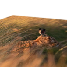 Load image into Gallery viewer, Harriet Canvas