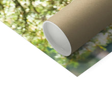 Load image into Gallery viewer, Mission Impossible Red Squirrel Fine Art Print