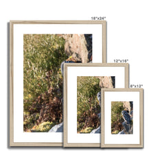 Load image into Gallery viewer, Tawny on the Rocks Framed & Mounted Print