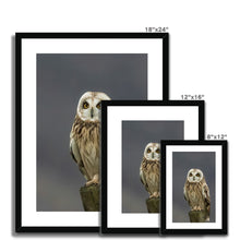 Load image into Gallery viewer, Short Eared Owl Framed & Mounted Print