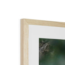 Load image into Gallery viewer, Hello Barn Owl Framed & Mounted Print