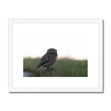 Load image into Gallery viewer, Little Owl Framed & Mounted Print