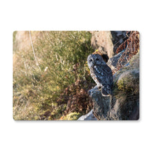 Load image into Gallery viewer, Tawny on the Rocks Placemat