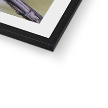 Load image into Gallery viewer, Kingfisher Framed & Mounted Print
