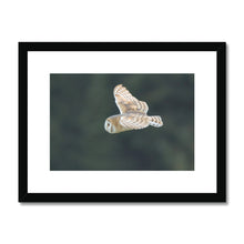Load image into Gallery viewer, Barn Owl putting on a show Framed & Mounted Print