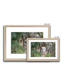 Load image into Gallery viewer, Owl In Hollow Framed & Mounted Print
