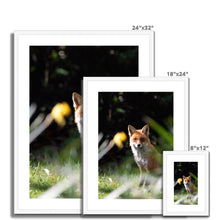 Load image into Gallery viewer, Foxy Framed & Mounted Print