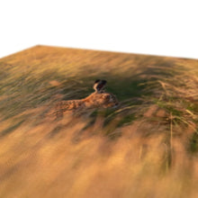 Load image into Gallery viewer, Harriet Canvas