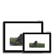 Load image into Gallery viewer, Little Owl Framed & Mounted Print