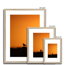 Load image into Gallery viewer, Sunset Tweet Framed & Mounted Print