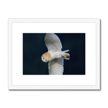 Load image into Gallery viewer, Barn Owl In The Dark Framed & Mounted Print