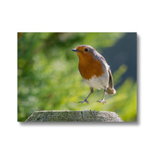 Load image into Gallery viewer, Jumping for Joy Canvas