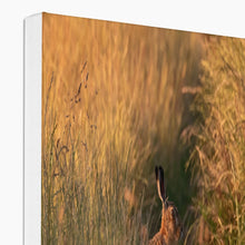 Load image into Gallery viewer, Harriet Canvas