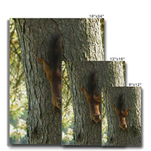 Load image into Gallery viewer, Mission Impossible Red Squirrel Canvas
