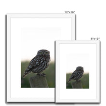 Load image into Gallery viewer, Little Owl Framed & Mounted Print