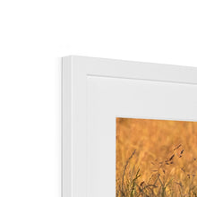 Load image into Gallery viewer, Harriet Framed & Mounted Print