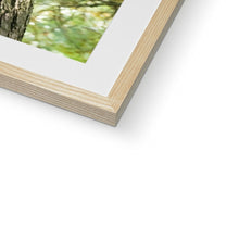 Load image into Gallery viewer, Mission Impossible Red Squirrel Framed & Mounted Print