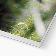 Load image into Gallery viewer, Foxy Canvas