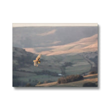 Load image into Gallery viewer, Barn Owl over the Peaks Canvas