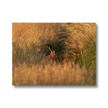 Load image into Gallery viewer, Harriet Canvas