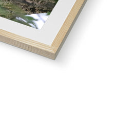 Load image into Gallery viewer, Hello Barn Owl Framed & Mounted Print