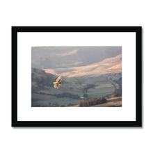 Load image into Gallery viewer, Barn Owl over the Peaks Framed & Mounted Print