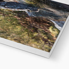 Load image into Gallery viewer, Tawny on the Rocks Canvas