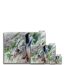 Load image into Gallery viewer, Magical Hare Canvas
