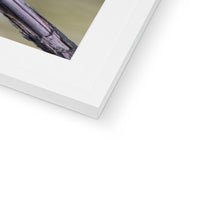 Load image into Gallery viewer, Kingfisher Framed & Mounted Print