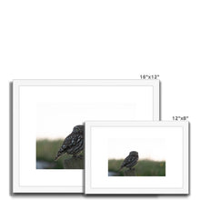 Load image into Gallery viewer, Little Owl Framed & Mounted Print