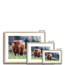 Load image into Gallery viewer, Raspberry Cow Framed & Mounted Print