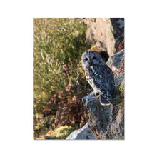 Load image into Gallery viewer, Tawny on the Rocks Fine Art Print