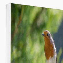 Load image into Gallery viewer, Jumping for Joy Canvas