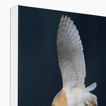 Load image into Gallery viewer, Barn Owl In The Dark Canvas