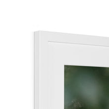 Load image into Gallery viewer, Owl In Hollow Framed & Mounted Print