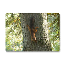 Load image into Gallery viewer, Mission Impossible Red Squirrel Placemat