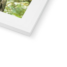 Load image into Gallery viewer, Mission Impossible Red Squirrel Framed & Mounted Print