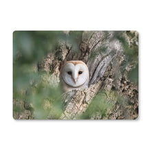 Load image into Gallery viewer, Owl In Hollow Placemat