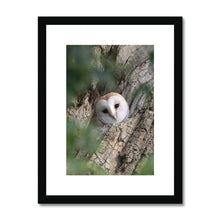 Load image into Gallery viewer, Hello Barn Owl Framed & Mounted Print