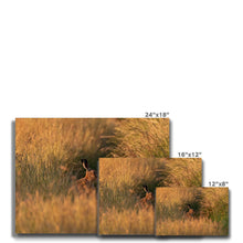 Load image into Gallery viewer, Harriet Canvas