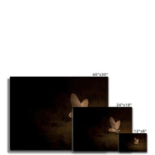 Load image into Gallery viewer, Hibou Canvas