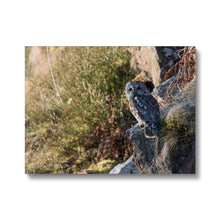 Load image into Gallery viewer, Tawny on the Rocks Canvas