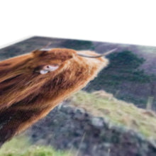 Load image into Gallery viewer, Raspberry Cow Canvas